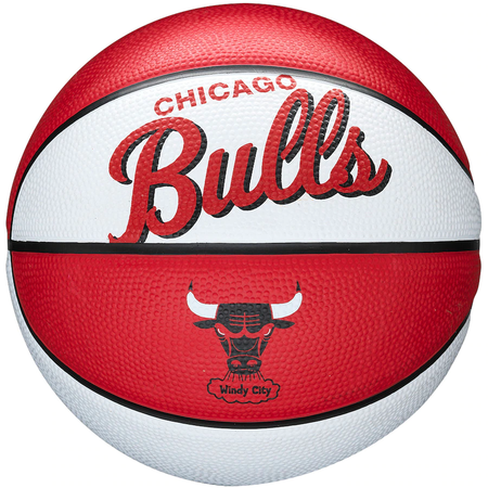 bulls mini basketball