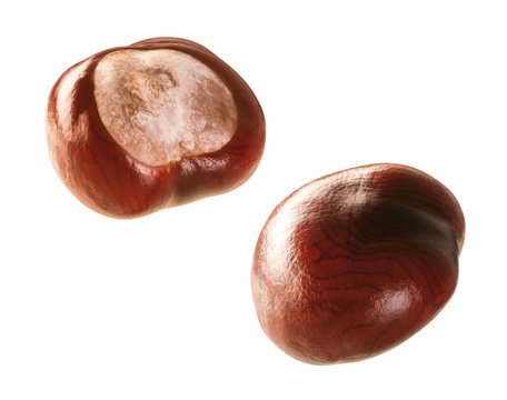 kastanie chestnut