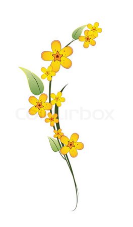Yellow flower on a stem with green leaves on white background | Stock Vector | Colourbox
