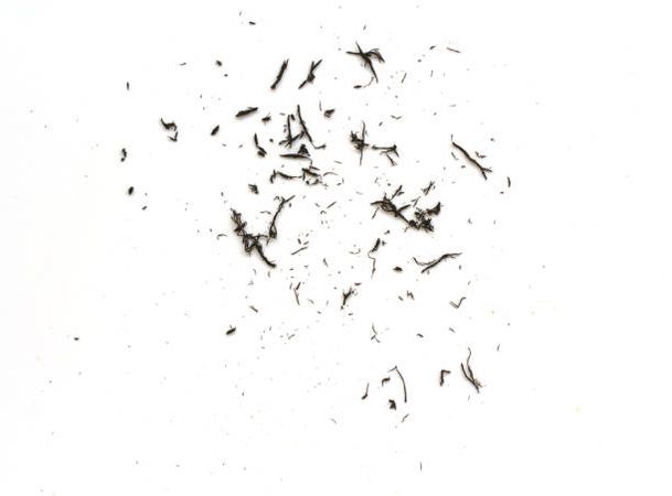eraser-scrap-on-white-background.jpg (612×452)