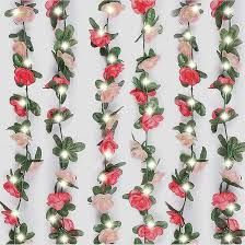 fairy light rose vine amazon - Google Search