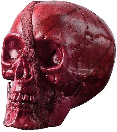Yescom Halloween Skeleton Head Human Skull Plastic Prop Haunted House Party Ornament Horror Decoration: Amazon.ca: Home & Kitchen