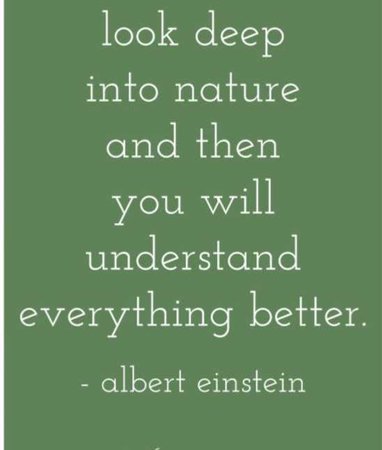 Green Nature Quote 💚