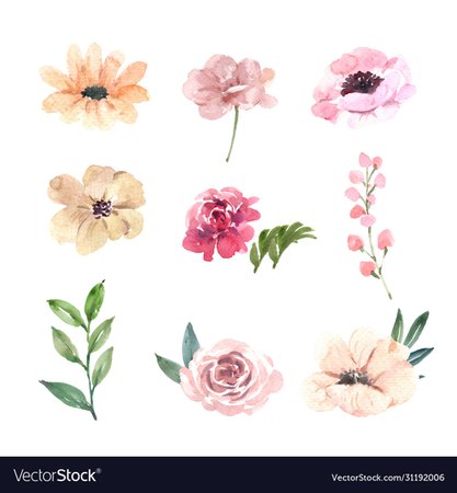 Set watercolor pink peony hand-drawn floral Vector Image