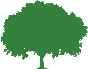 Carbon Credits | Arkansas Louisiana Mississippi | GreenTrees