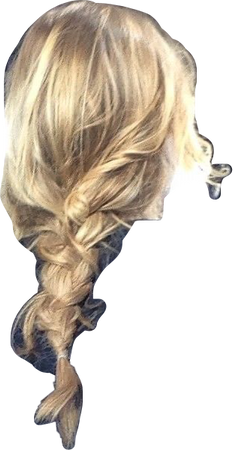 blonde braid