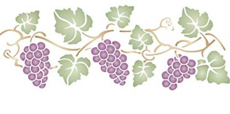 grape vine vector