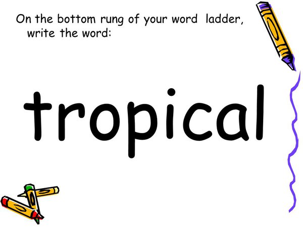 tropical words - Google Search