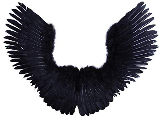Maleficent Wings