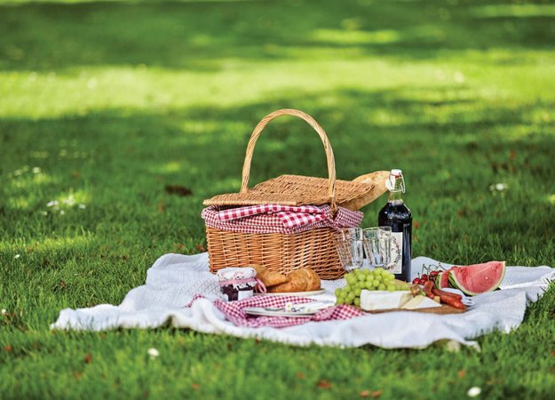 picnic pic