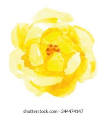 yellow flower watercolor - Google Search