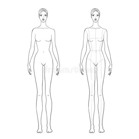 woman-s-figure-sketch-technical-drawing-main-lines-vector-outline-girl-model-template-fashion-sketching-woman-s-167817044.jpg (800×800)