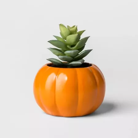 Hallow's Eve White Succulent - Hyde and Eek! Boutique : Target