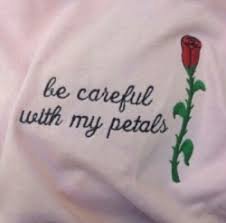 pink sweater with red embroidery rose