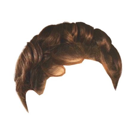 brown hair vintage 60's hairstyle bun updo