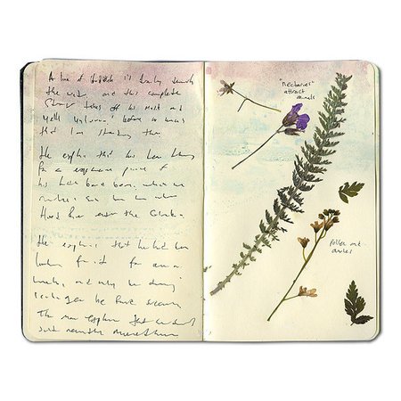 old notebook with pressed flowers
