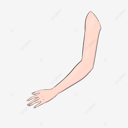 Arms Full Clipart Vector, Arm Clip Art Full Arm, Clipart, Arm, Skin White PNG Image For Free Download