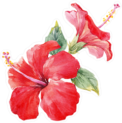 Car Stickers, Inc. Watercolor Tropical Composition Hibiscus Sticker