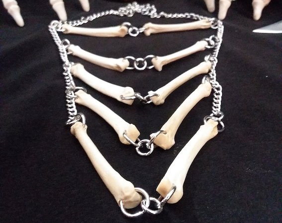 Coyote Bone Necklace Bone Jewelry Bone Necklace Real Bone | Etsy