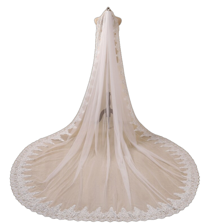 Veil,Bridal Veil,Vintage Cathedral Wedding Veil,Gold Veil,Bridal Cathedral Veil Bridal Wedding Veil Chapel Veil&Comb,Costume length,Classic