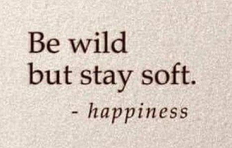 happiness (quote)