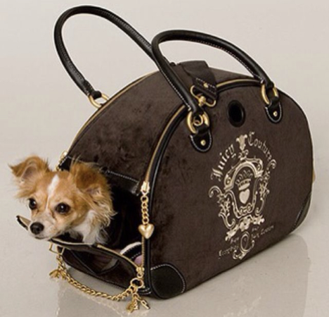juicy couture dog