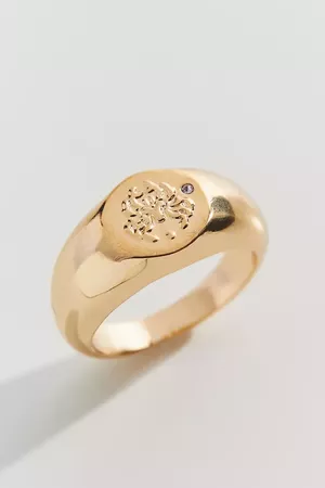 Zodiac Signet Ring | Urban Outfitters