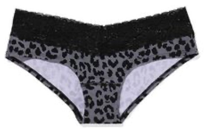 Leopard print lace panties