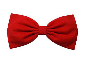Amazon.com : Solid Red Jewel Tone Essentials Hair Bow Barrette : Beauty