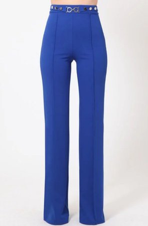 Shopify - Blue high waisted pants (women)
