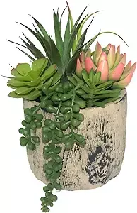 Amazon.com: Hisow Succulents Plants Artificial, Faux Succulent Plants in Elegant Ceramic Pot Assorted Faux Potted Succulent Plant for Home Living Rooms Bedroom Décor (7.9) : Home & Kitchen