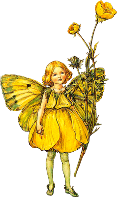 flower fairy