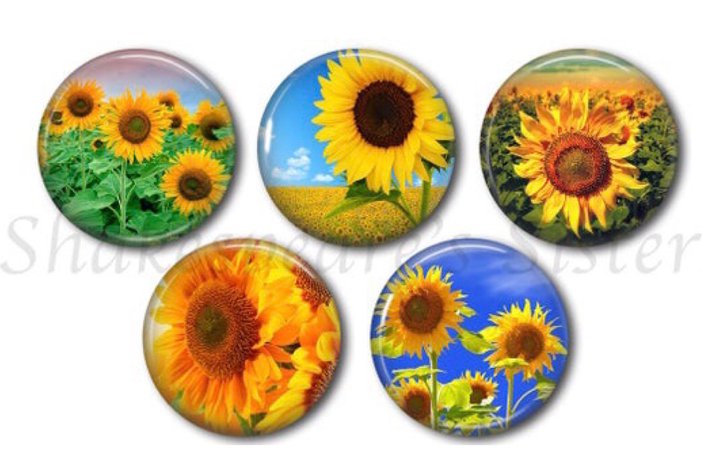 sunflower pins