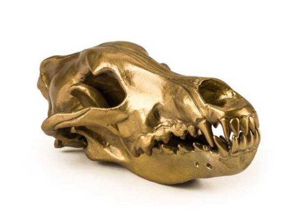 Diesel Wolf Skull