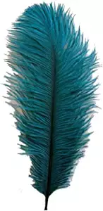 Amazon.com: MELADY® Pack of 10pcs Natural Ostrich Feathers 12-14inch(30-35cm) for Home Wedding Party Decoration (Teal) : Arts, Crafts & Sewing