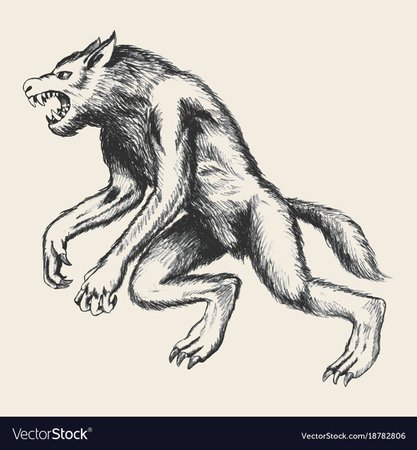 werewolf-sketch-vector-18782806.jpg 1,000×1,080 pixels
