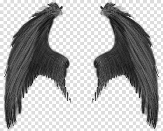Gray angel wings illustration, Demon Devil Angel, Wings transparent background PNG clipart | HiClipart