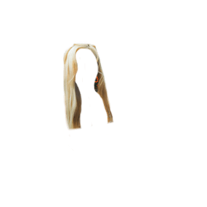 Blonde Hair PNG Clips/Pins TWIN PIGTAILS