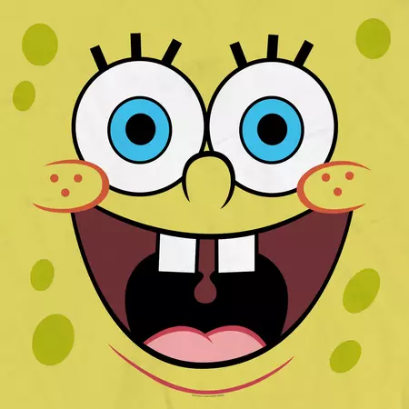 SpongeBob SquarePants Yellow Big Face Sherpa Blanket – SpongeBob SquarePants Shop