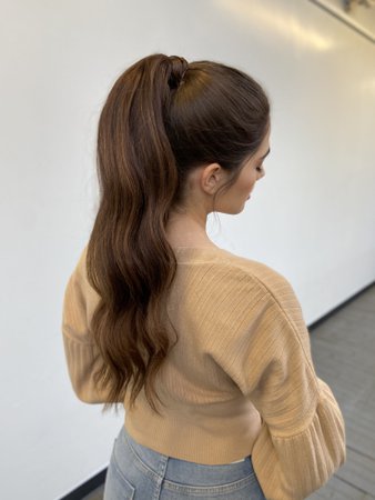 Pinterest - long brown ponytail