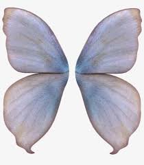 fairy wings for editing - Google Search