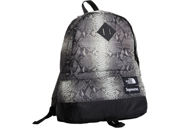 Supreme The North Face Snakeskin Lightweight Day Pack Black - SS18