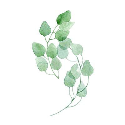 Nordic Green Leaves Natural Simple Modern Wall Art Plant Canvas Prints