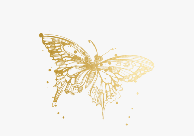 gold butterfly outline - Google Search