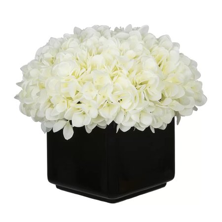 black flowers in vase