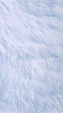 blue faux fur