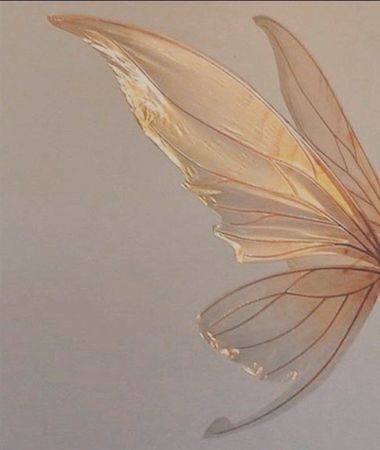 Beige fairy wings