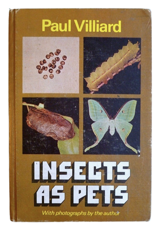 insects as pets - book