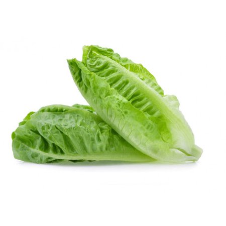 Buy Lettuce Romaine online at greengroceruae.com