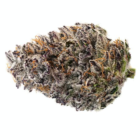 Reef - Banana Daddy - 3.5g | The Hunny Pot Cannabis Co. (495 Welland Ave, St. Catherines) St. Catharines ON | Dutchie